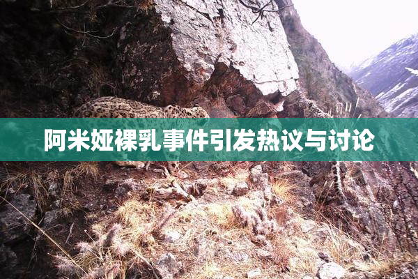 阿米娅裸乳事件引发热议与讨论