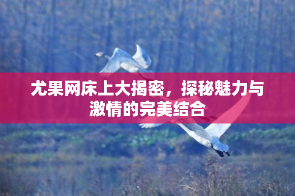 尤果网床上大揭密，探秘魅力与激情的完美结合