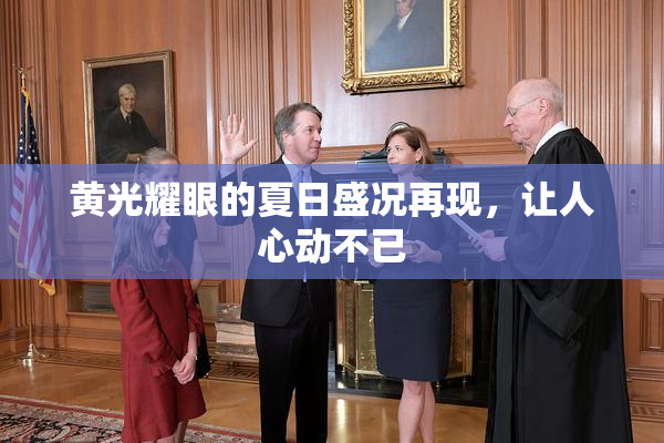 黄光耀眼的夏日盛况再现，让人心动不已