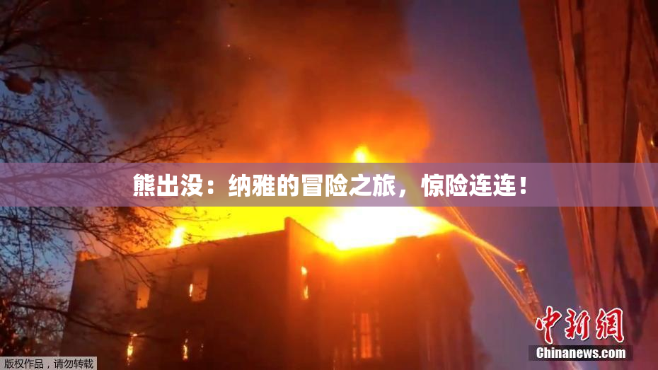 熊出没：纳雅的冒险之旅，惊险连连！