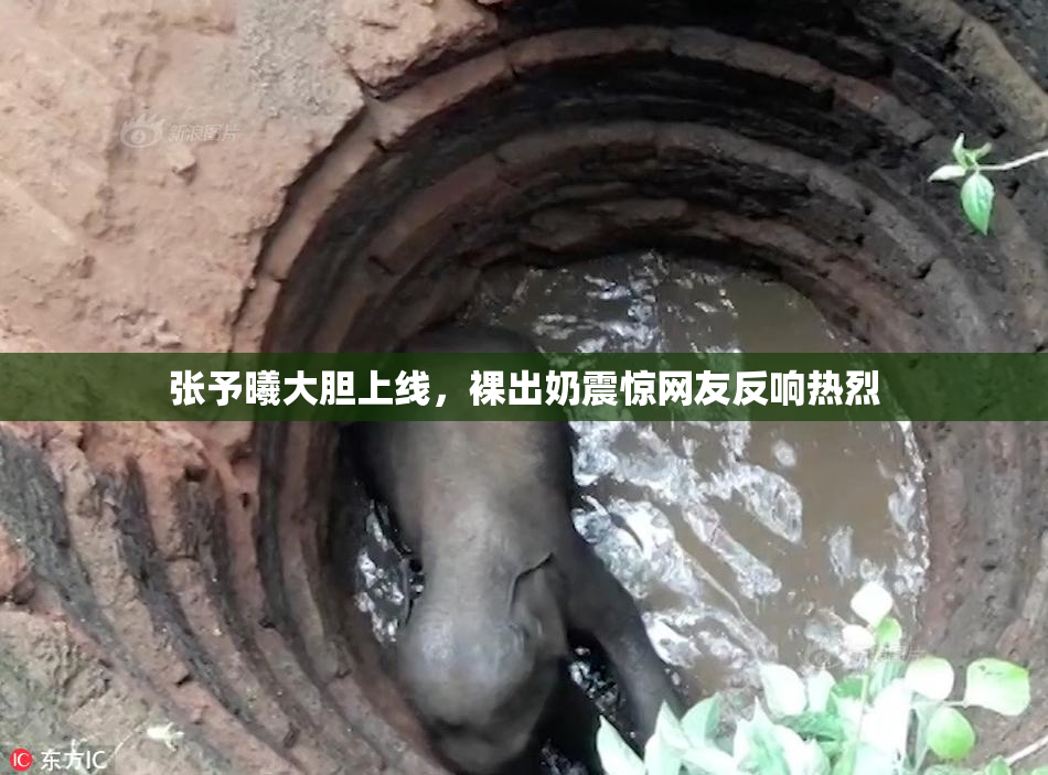 张予曦大胆上线，裸出奶震惊网友反响热烈