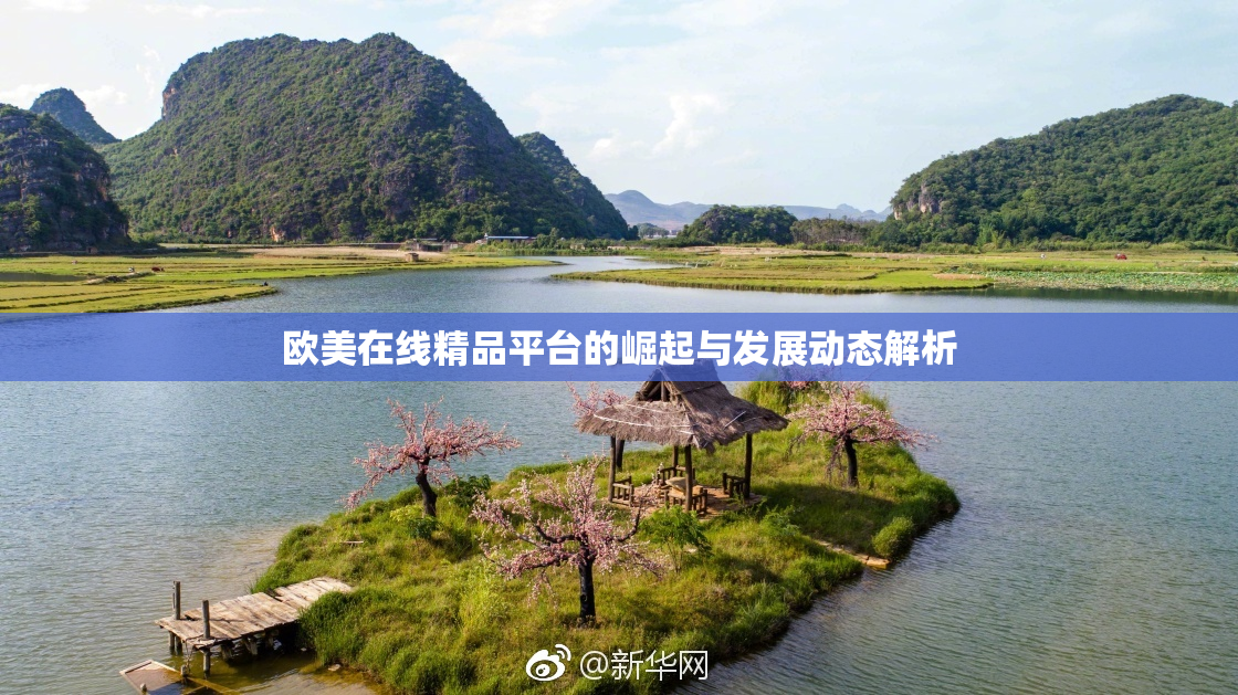 欧美在线精品平台的崛起与发展动态解析