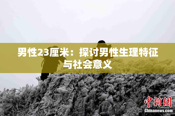 男性23厘米：探讨男性生理特征与社会意义