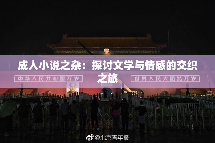 成人小说之杂：探讨文学与情感的交织之旅