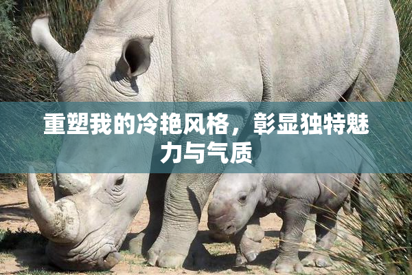 重塑我的冷艳风格，彰显独特魅力与气质
