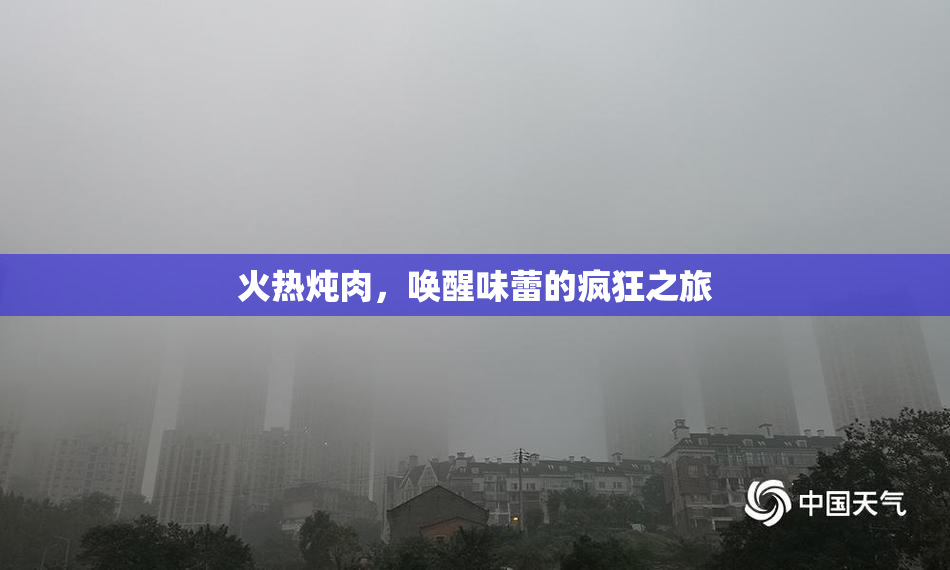 火热炖肉，唤醒味蕾的疯狂之旅