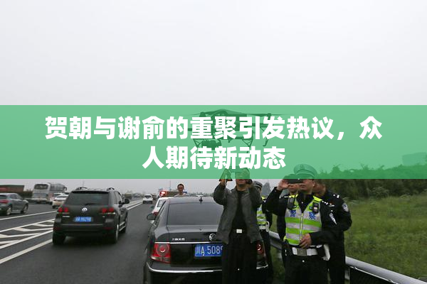 贺朝与谢俞的重聚引发热议，众人期待新动态