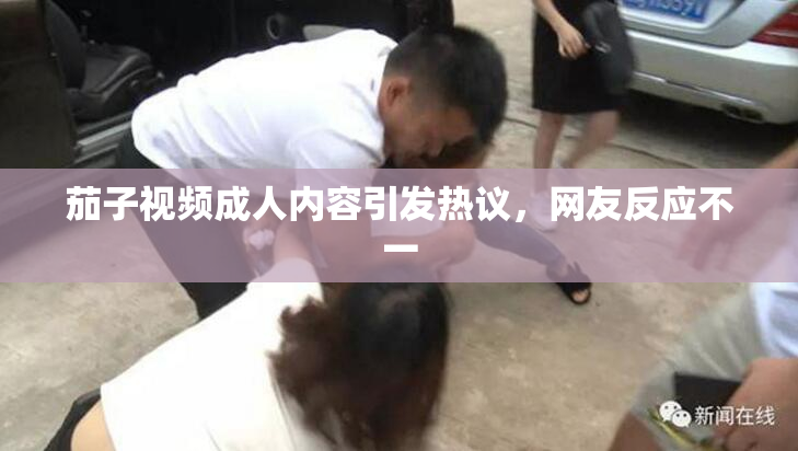 茄子视频成人内容引发热议，网友反应不一