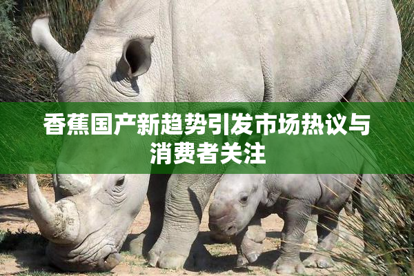 香蕉国产新趋势引发市场热议与消费者关注