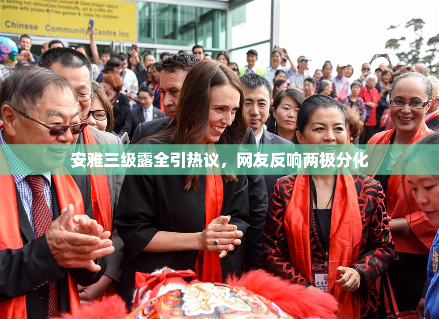 安雅三级露全引热议，网友反响两极分化