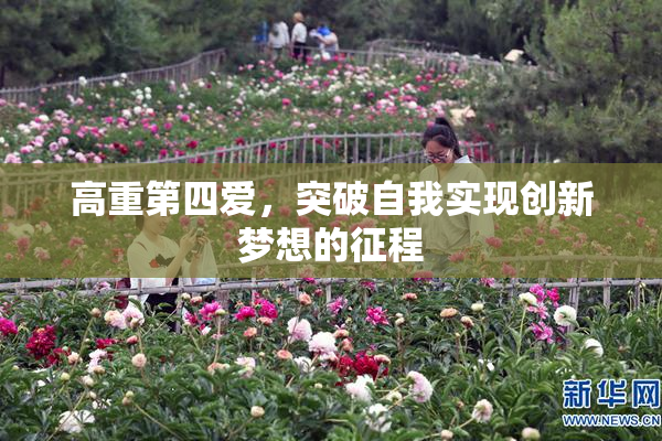 高重第四爱，突破自我实现创新梦想的征程