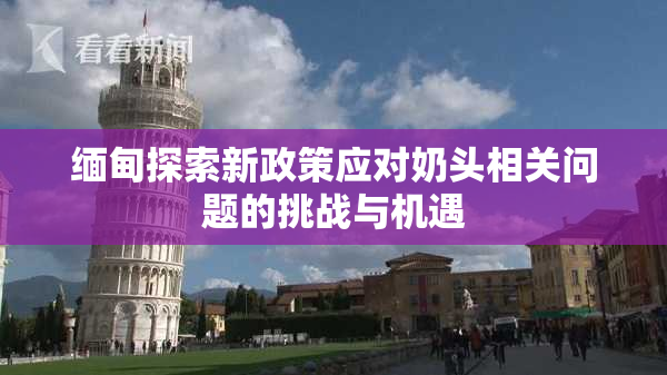 缅甸探索新政策应对奶头相关问题的挑战与机遇