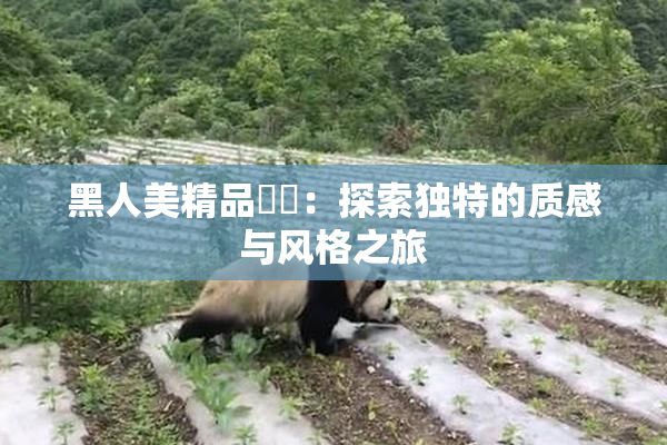 黑人美精品❌‌：探索独特的质感与风格之旅