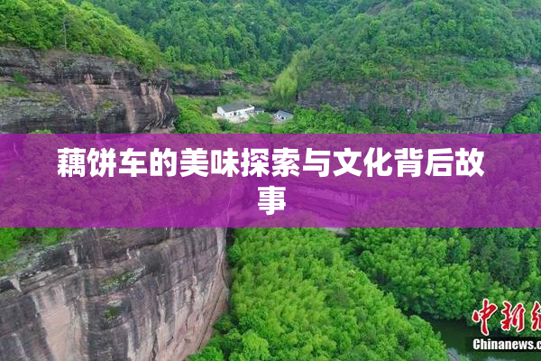 藕饼车的美味探索与文化背后故事