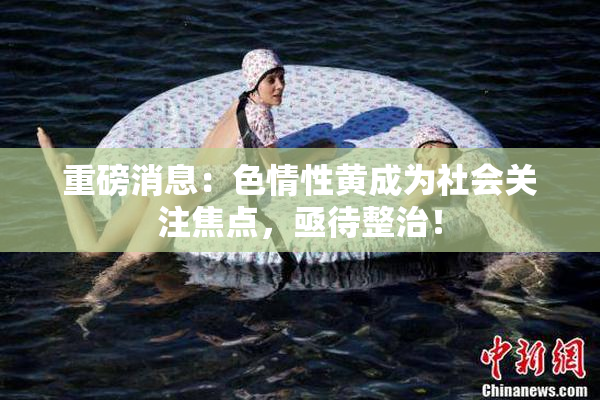 重磅消息：色情性黄成为社会关注焦点，亟待整治！