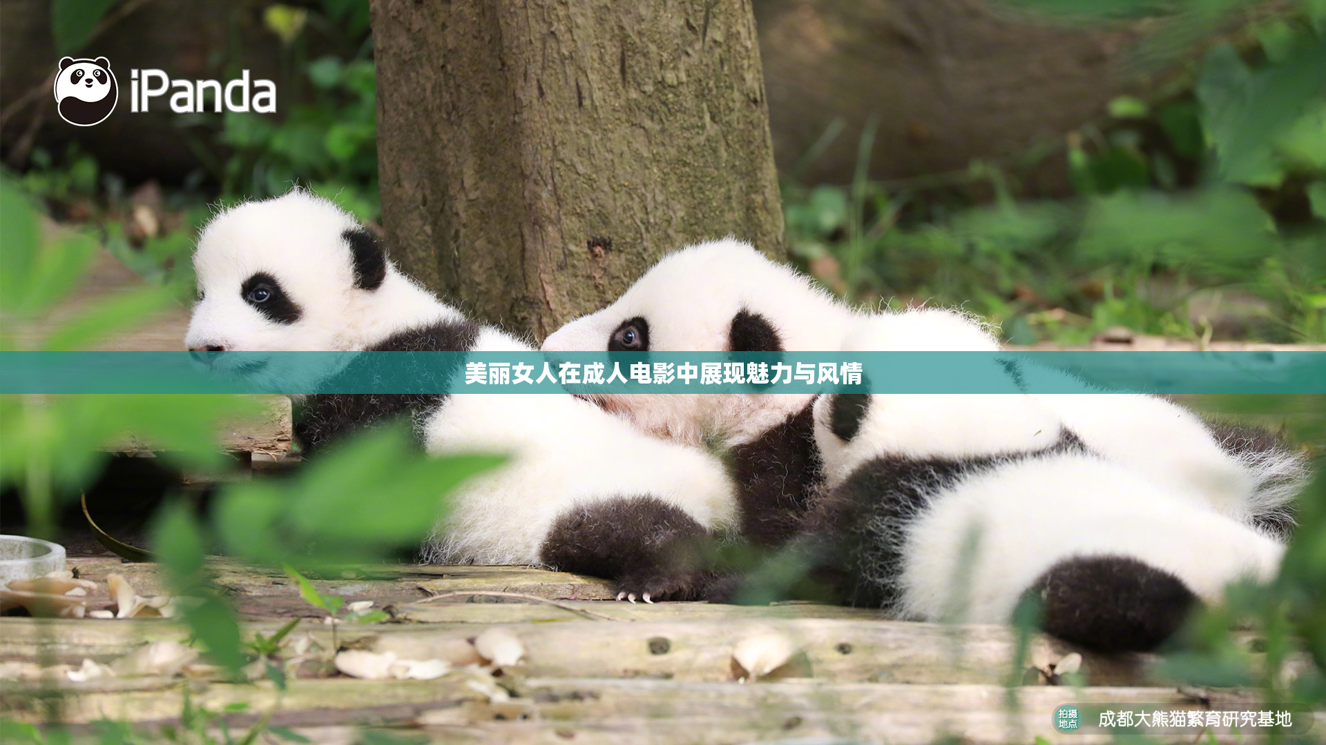 美丽女人在成人电影中展现魅力与风情