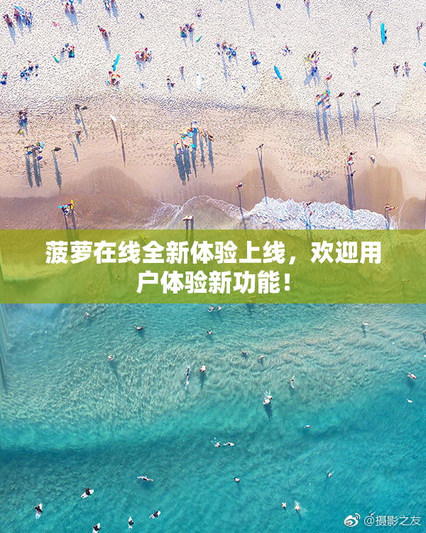 菠萝在线全新体验上线，欢迎用户体验新功能！