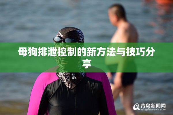 母狗排泄控制的新方法与技巧分享