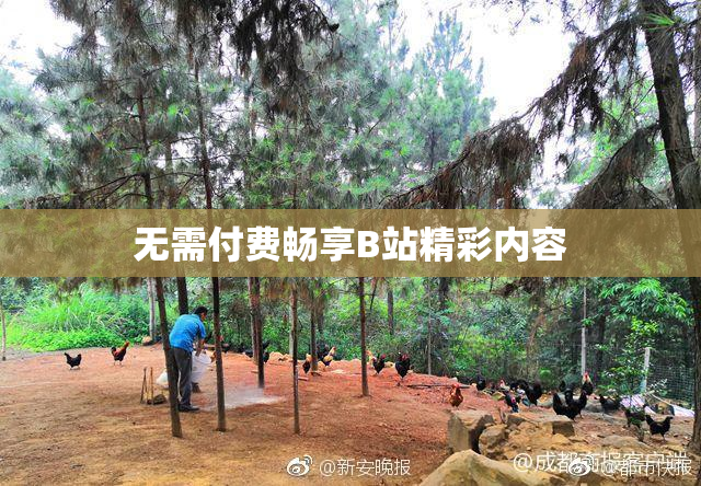 无需付费畅享B站精彩内容
