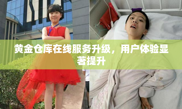 黄金仓库在线服务升级，用户体验显著提升