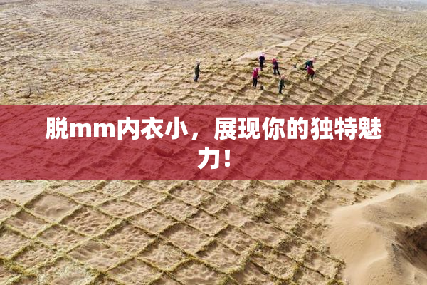 脱mm内衣小，展现你的独特魅力！