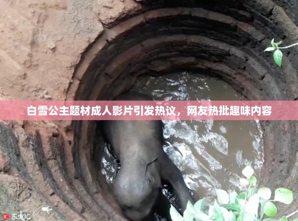 白雪公主题材成人影片引发热议，网友热批趣味内容