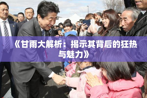 《甘雨大解析：揭示其背后的狂热与魅力》