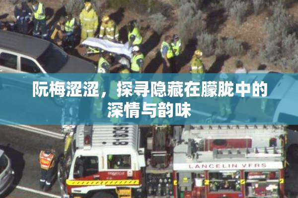 阮梅涩涩，探寻隐藏在朦胧中的深情与韵味