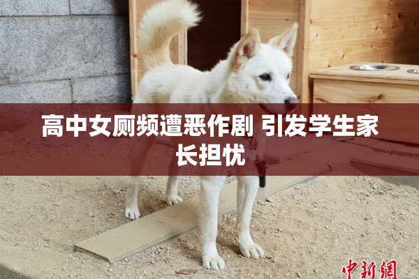 高中女厕频遭恶作剧 引发学生家长担忧