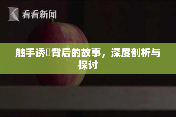 触手诱奷背后的故事，深度剖析与探讨
