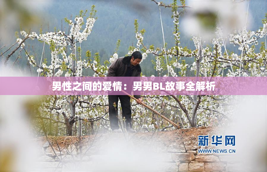 男性之间的爱情：男男BL故事全解析