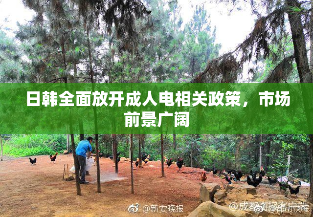 日韩全面放开成人电相关政策，市场前景广阔