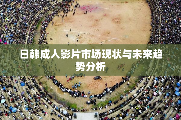 日韩成人影片市场现状与未来趋势分析