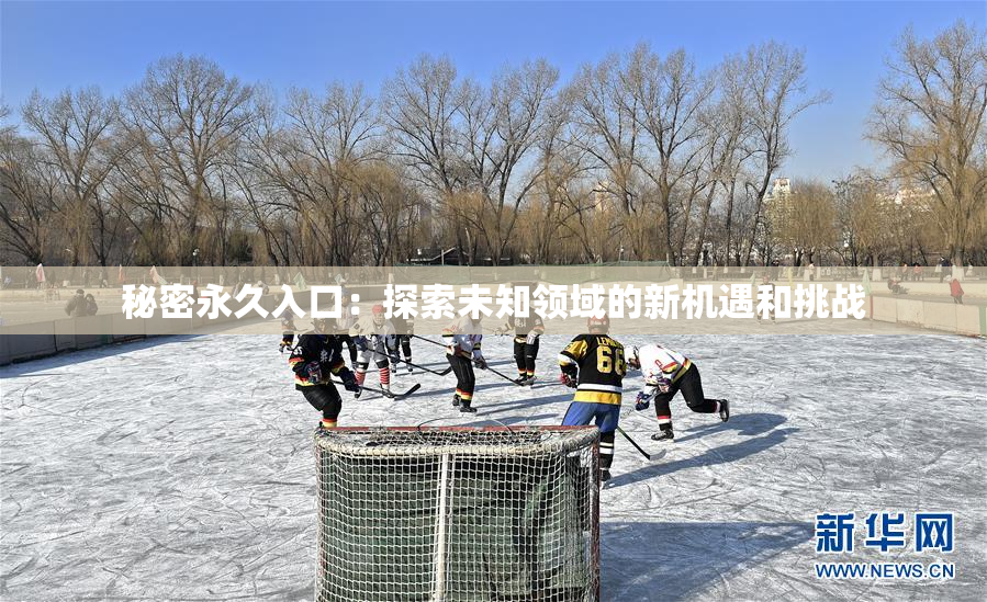 秘密永久入口：探索未知领域的新机遇和挑战
