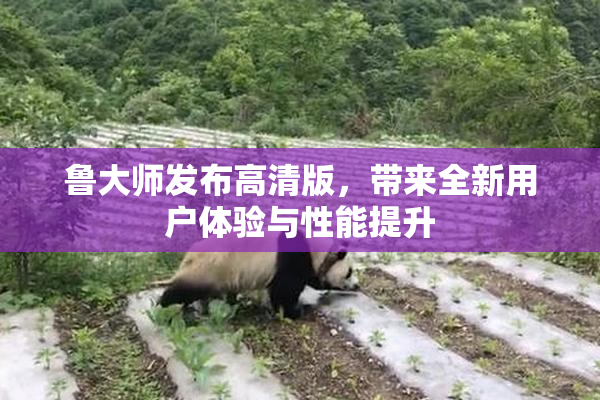 鲁大师发布高清版，带来全新用户体验与性能提升