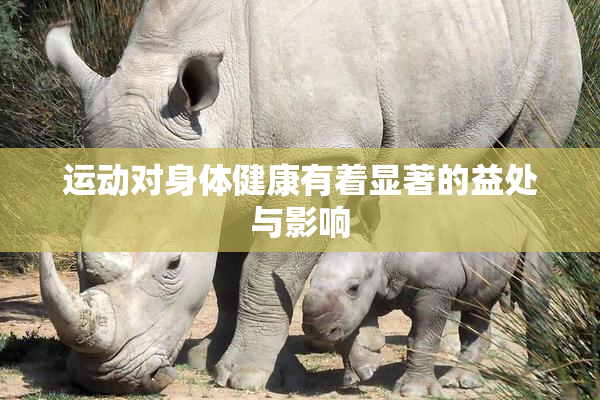 运动对身体健康有着显著的益处与影响