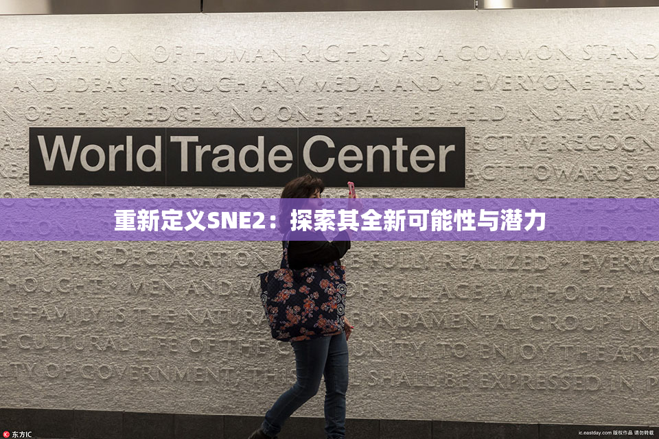 重新定义SNE2：探索其全新可能性与潜力