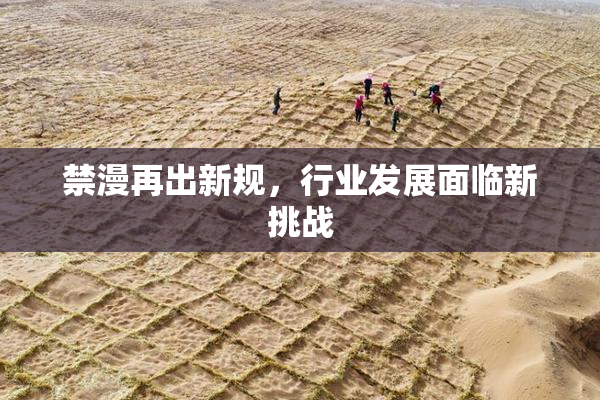 禁漫再出新规，行业发展面临新挑战