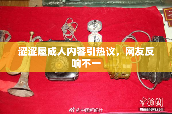 涩涩屋成人内容引热议，网友反响不一