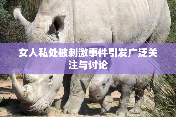 女人私处被刺激事件引发广泛关注与讨论