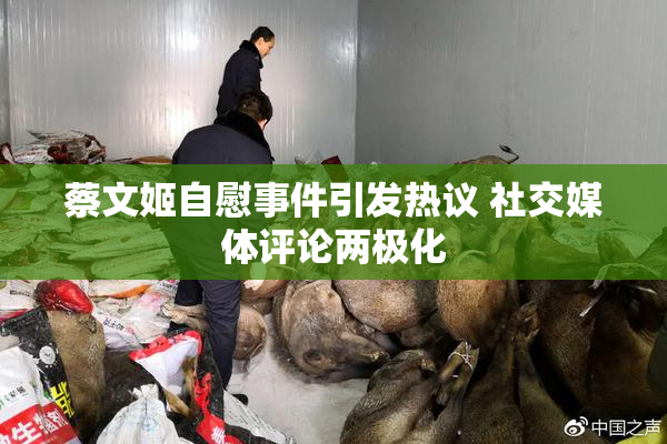 蔡文姬自慰事件引发热议 社交媒体评论两极化