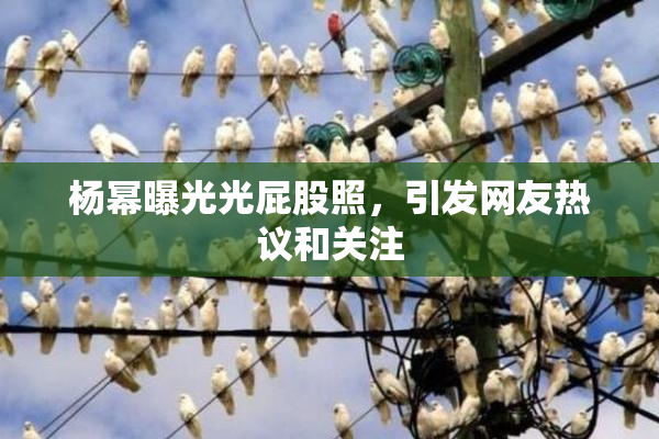 杨幂曝光光屁股照，引发网友热议和关注