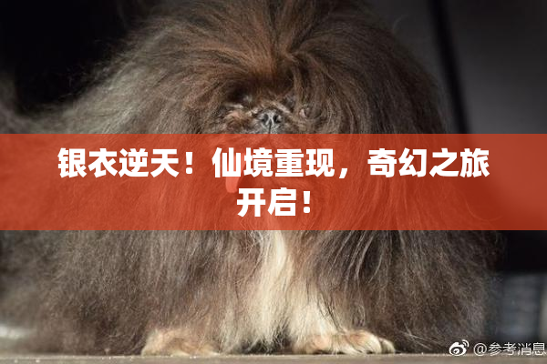 银衣逆天！仙境重现，奇幻之旅开启！