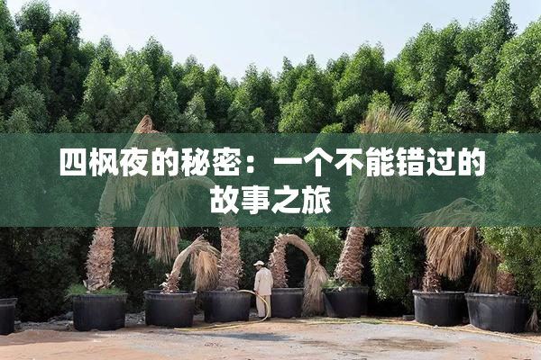 四枫夜的秘密：一个不能错过的故事之旅