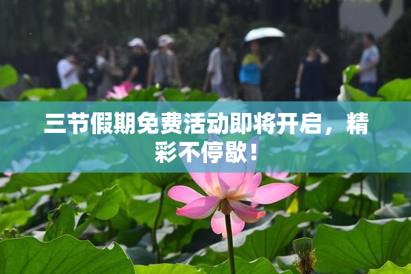 三节假期免费活动即将开启，精彩不停歇！
