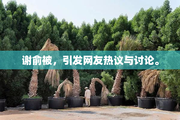 谢俞被，引发网友热议与讨论。