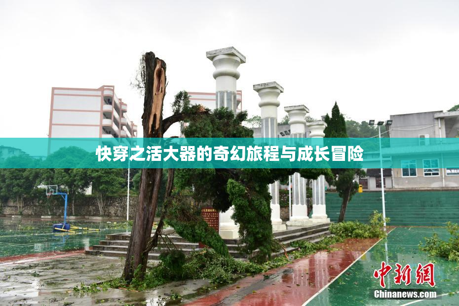 快穿之活大器的奇幻旅程与成长冒险