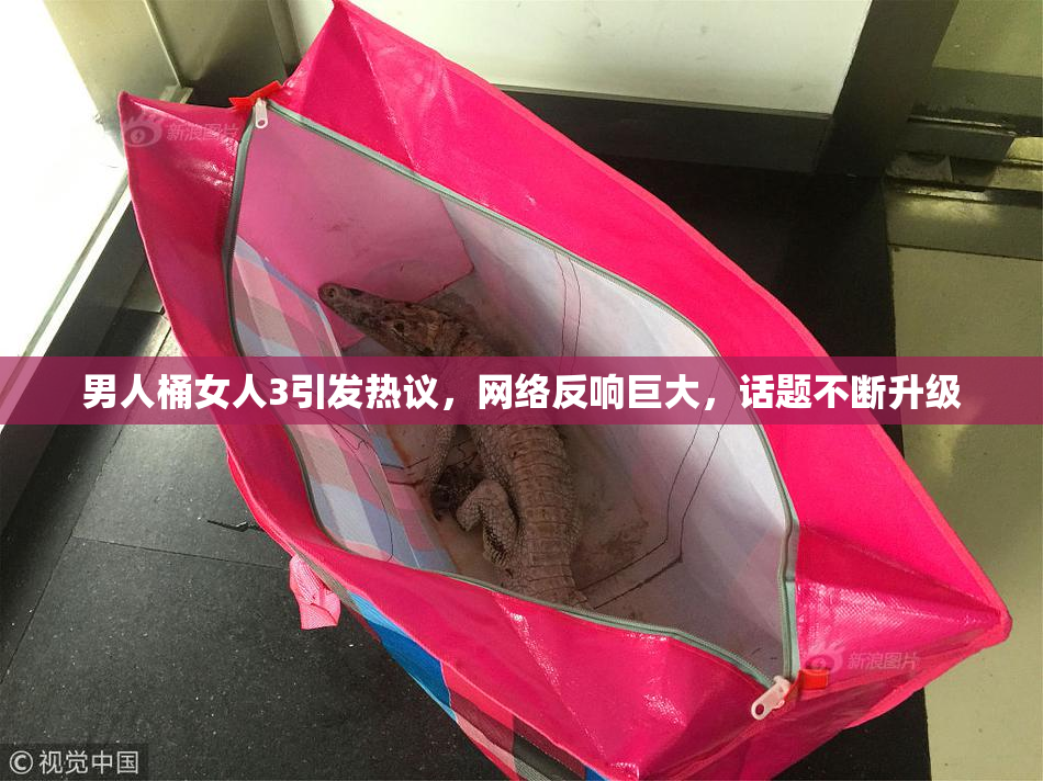 男人桶女人3引发热议，网络反响巨大，话题不断升级