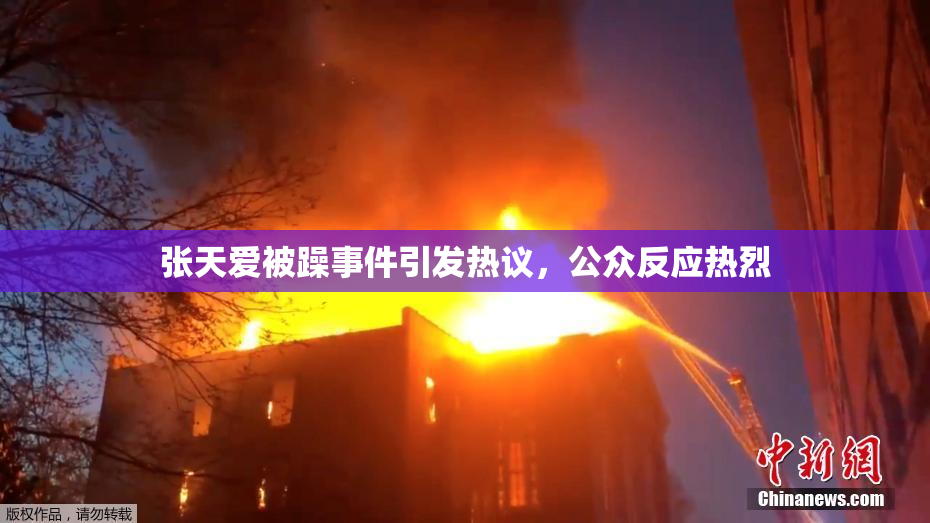 张天爱被躁事件引发热议，公众反应热烈