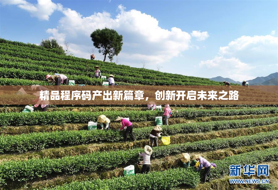 精品程序码产出新篇章，创新开启未来之路